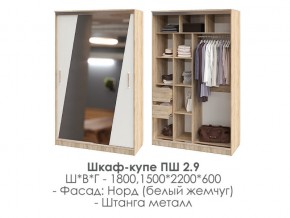 шкаф-купе ПШ-2.9 1500 Норд Белый жемчуг 1500 в Троицке - troick.магазин96.com | фото